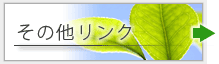 その他リンク